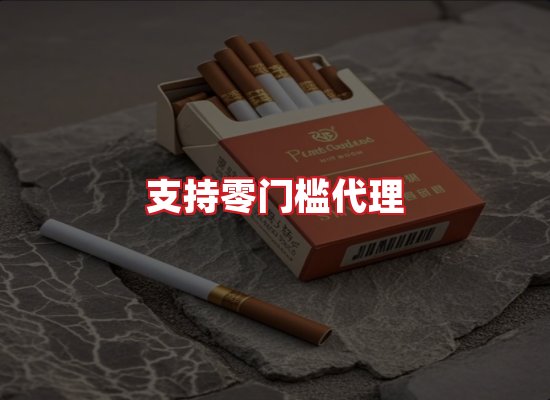 专业团队